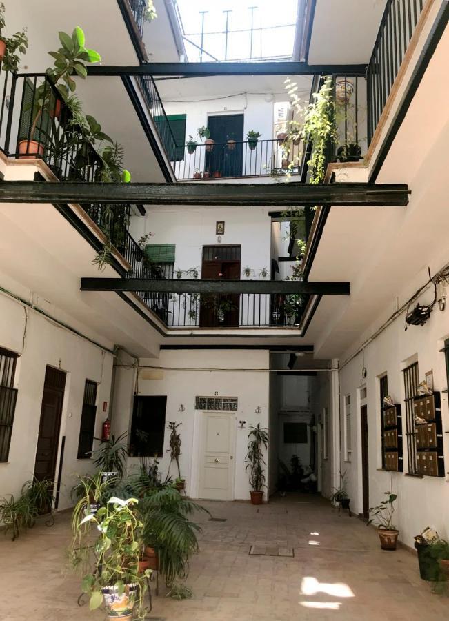Magnifico Tipo Duplex En Triana Appartement *