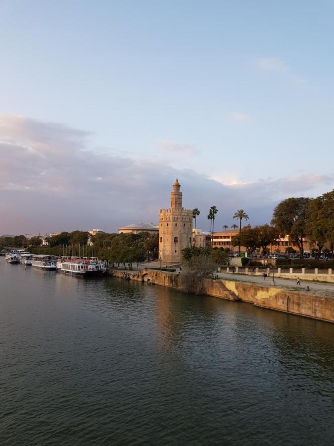 Magnifico Tipo Duplex En Triana Seville